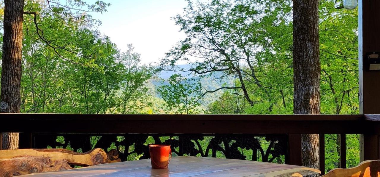 Villa Morning Glory à Cosby Extérieur photo